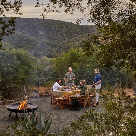 Kwandwe Private Game Reserve - Melton Manor Grahamstown Exterior foto